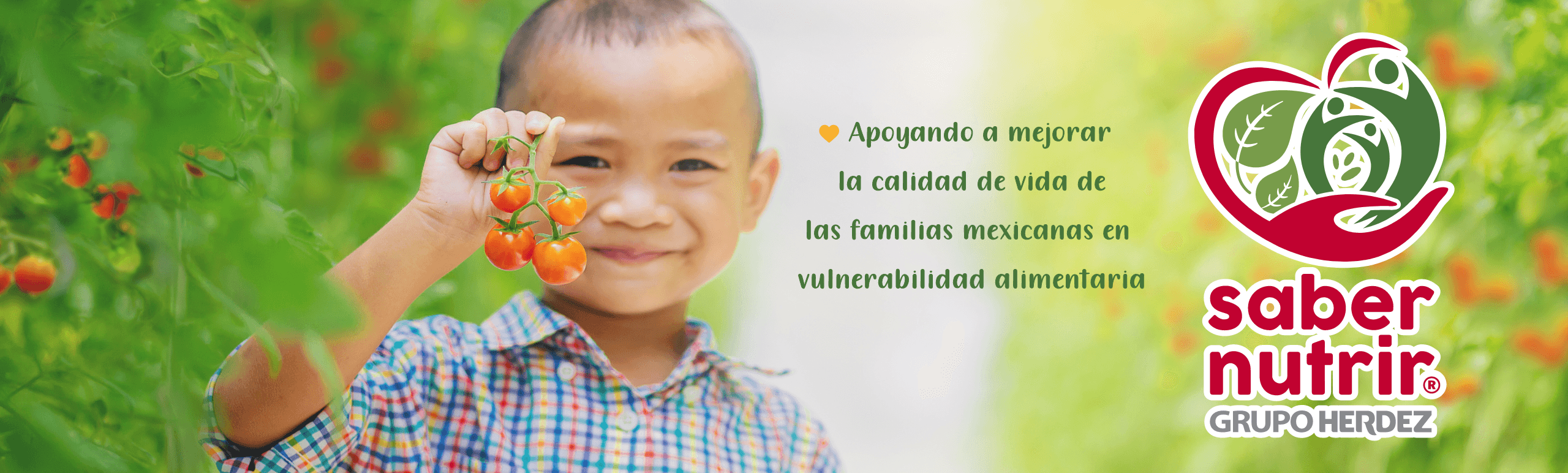 Banner Saber Nutrir desk